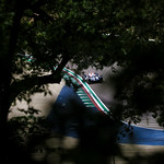 Flickr photo 22-1MDH9921