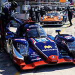 Flickr photo 23-2MDH4486