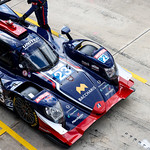 Flickr photo 23-1MDH9397