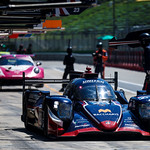 Flickr photo 23-1MDH2459