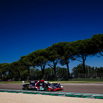 Flickr photo 21-2MDH2178 (1)