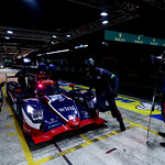 Flickr photo 22-1MDH9450