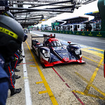 Flickr photo 22-2MDH1394