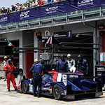 Flickr photo 21-1MDH6703 (1)