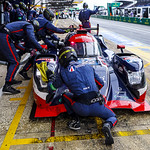 Flickr photo 22-2MDH1404