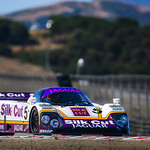 Flickr photo Road America IMSA 2024