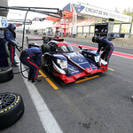 Flickr photo 22-DLP51140