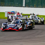 Flickr photo UA - 23 - BG - 10786 (1)