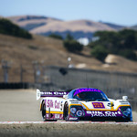 Flickr photo Road America IMSA 2024