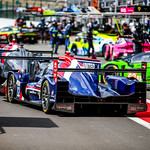 Flickr photo 22-AL0W0917