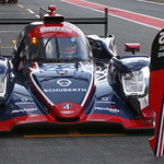 Flickr photo 22-DLPX8313