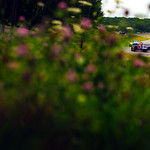 Flickr photo Road America IMSA 2024