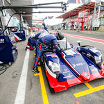 Flickr photo 21-AL0W2816