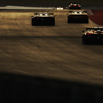 Flickr photo 59-0Q3A7317