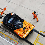 Flickr photo 95-7B1A8779