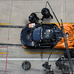 Flickr photo 95-7B1A8703