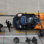 Flickr photo 95-7B1A8687