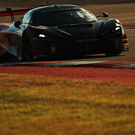 Flickr photo 95-0Q3A6523