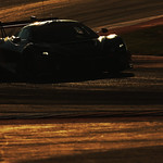 Flickr photo 59-0Q3A9134