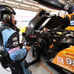 Flickr photo 95-0Q3A3780