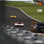 Flickr photo 95-0Q3A8339