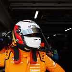 Flickr photo 95-MS-0Q3A2552