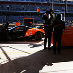 Flickr photo 95-7B1A5345