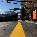 Flickr photo 95-7B1A0836