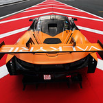 Flickr photo 95-7B1A3268 (1)