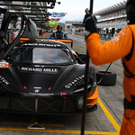 Flickr photo 95-7B1A9513