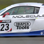 Flickr photo IMG_8551