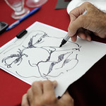 Flickr photo united_015