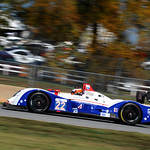 Flickr photo United_Autosports_Petit-02