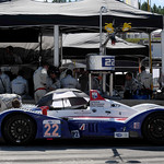 Flickr photo United_Autosports_Petit-13