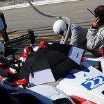 Flickr photo United_Autosports_Petit-16