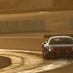 Flickr photo _LP_9380