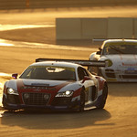 Flickr photo _LP_1897