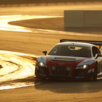 Flickr photo _LP_1875