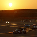 Flickr photo _LP_2043