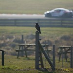 Flickr photo United Oulton Park test March 5th 2013 4