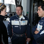 Flickr photo Brown-Parenrte_01